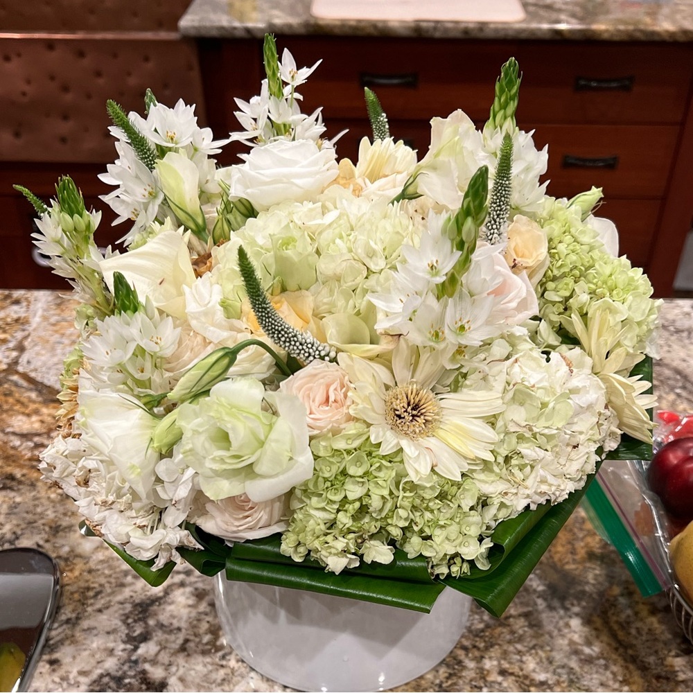 Meet your Posher, Victoria